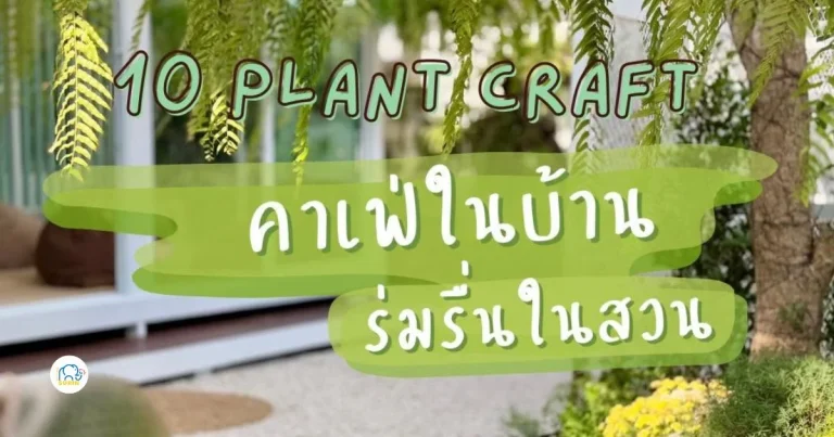 banner 10 Plant Craft