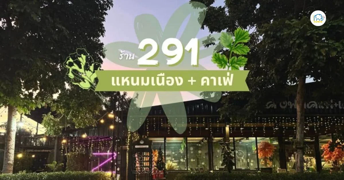 banner 291 Coffee Cafe แหนมเนือง