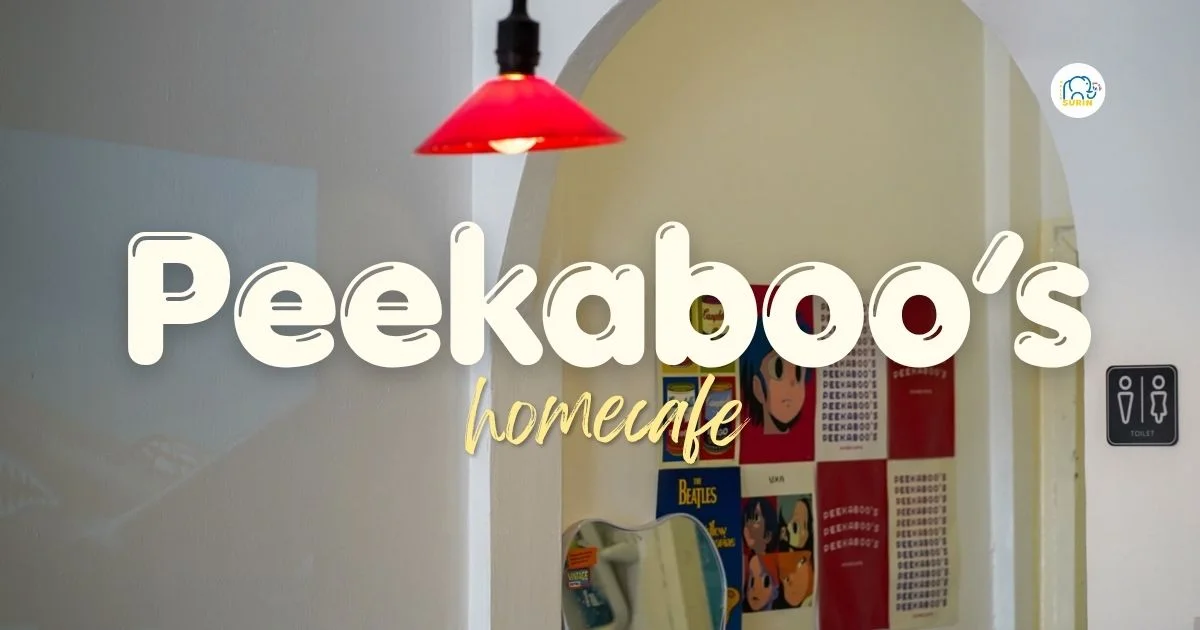 banner Peekaboo’s homecafe