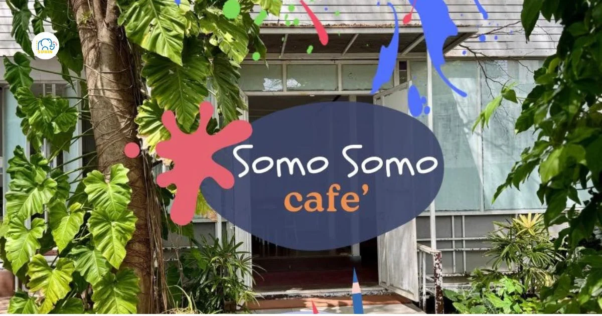 banner Somo Somo