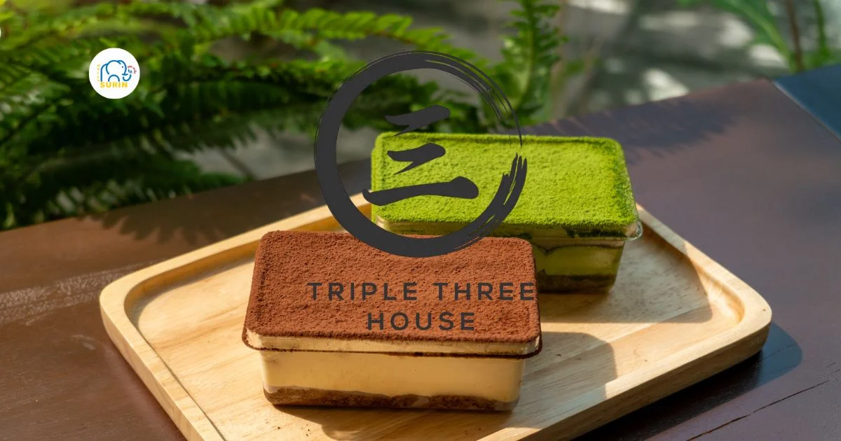 banner TRIPLE THREE HOUSE
