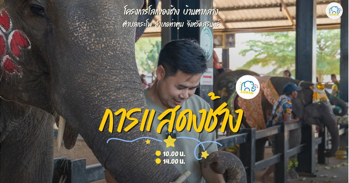 banner การแสดงช้าง