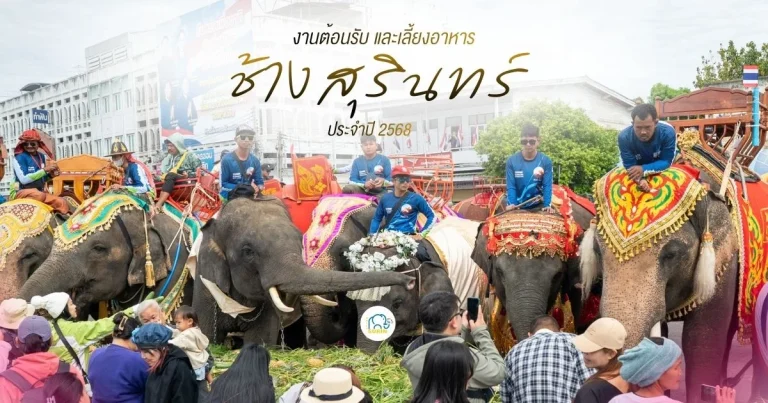banner งานต้อนรับและเลี้ยงอาหารช้าง