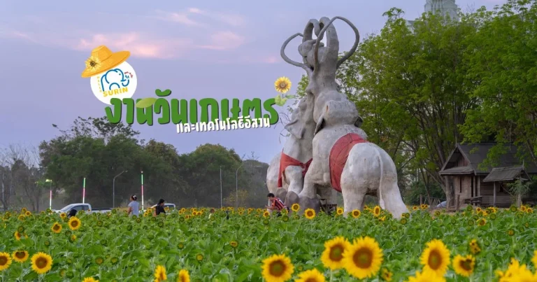 banner งานวันเกษตรและเทคโนโลยีอีสาน