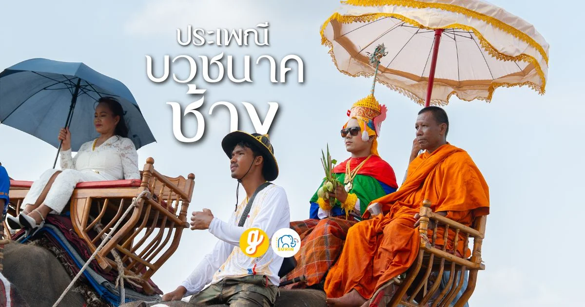 banner บวชนาคช้าง