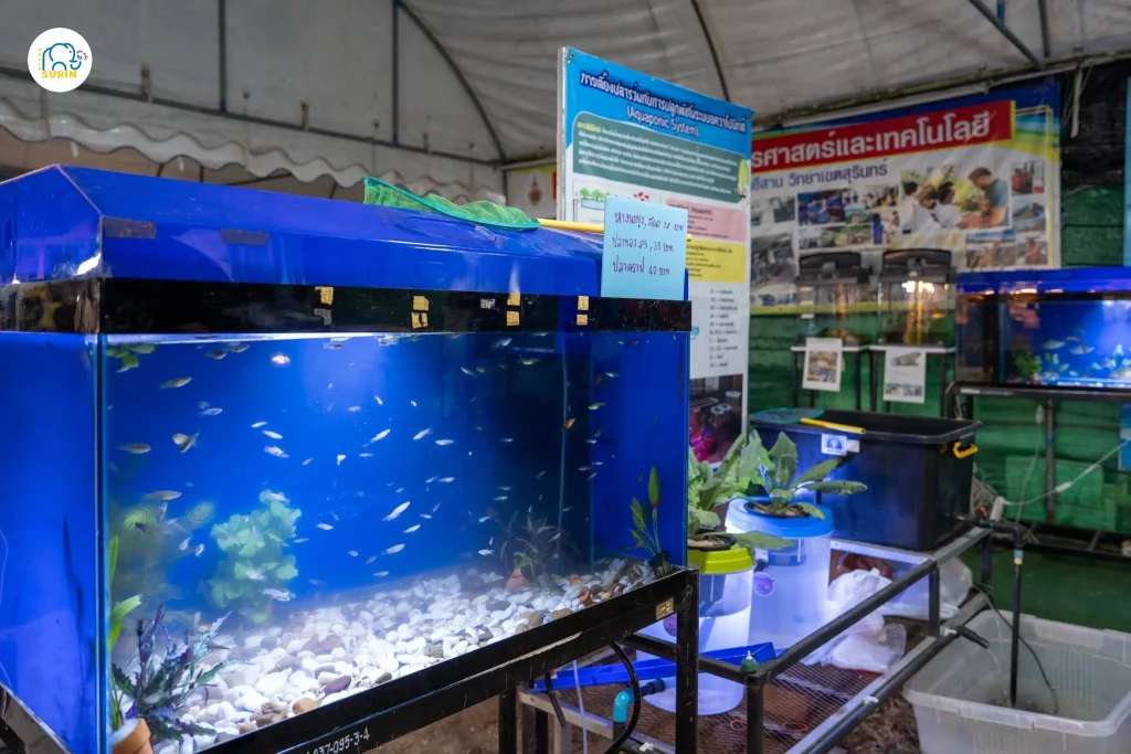งานเกษตรแฟร์-20