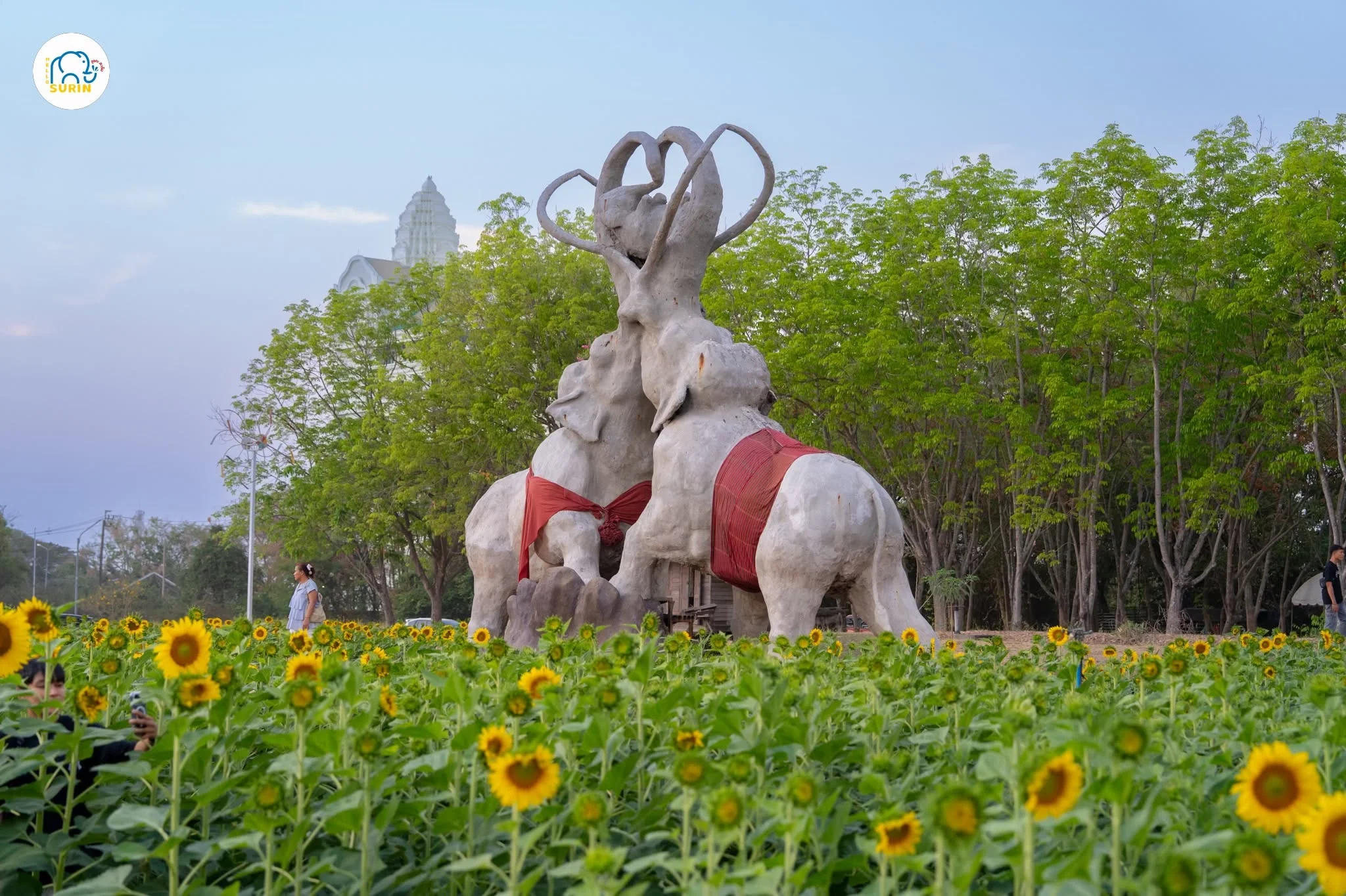งานเกษตรแฟร์-28