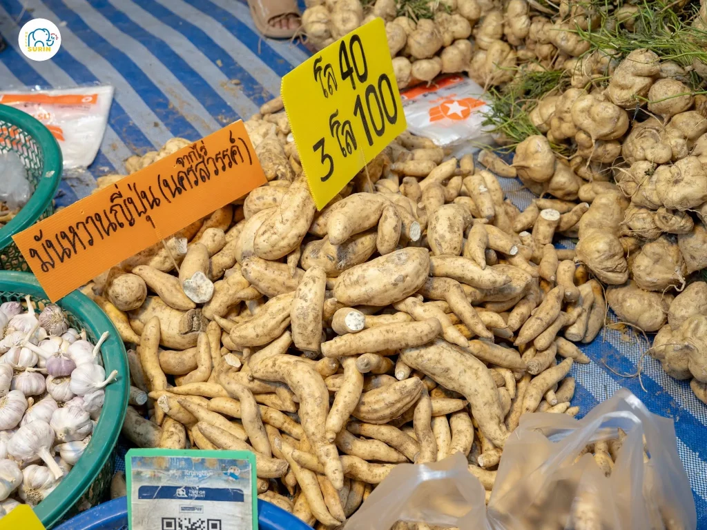 งานเกษตรแฟร์-29