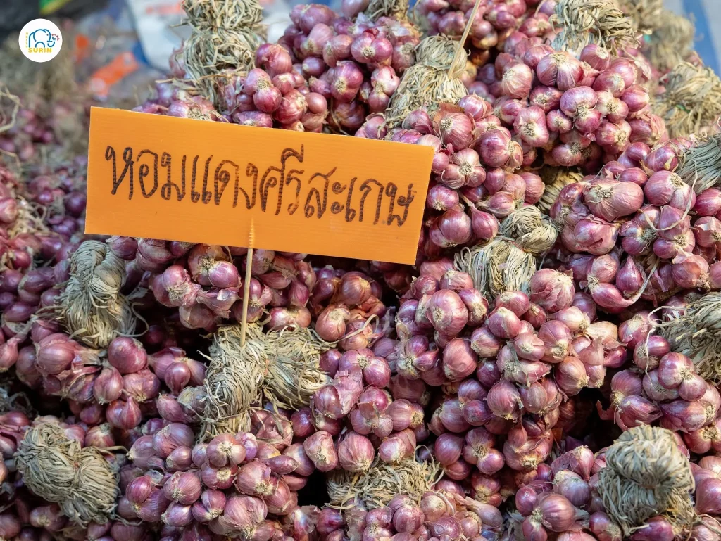 งานเกษตรแฟร์-5
