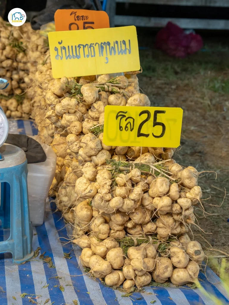 งานเกษตรแฟร์-9
