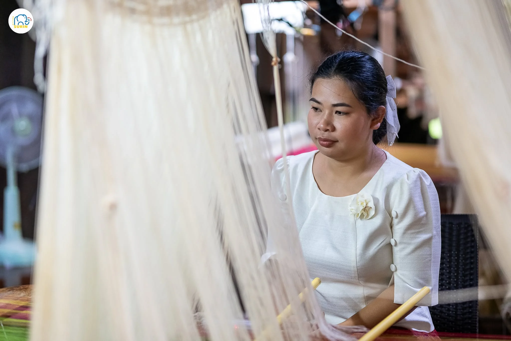 ผ้าไหมจันทร์โสมาและเครือข่าย-22