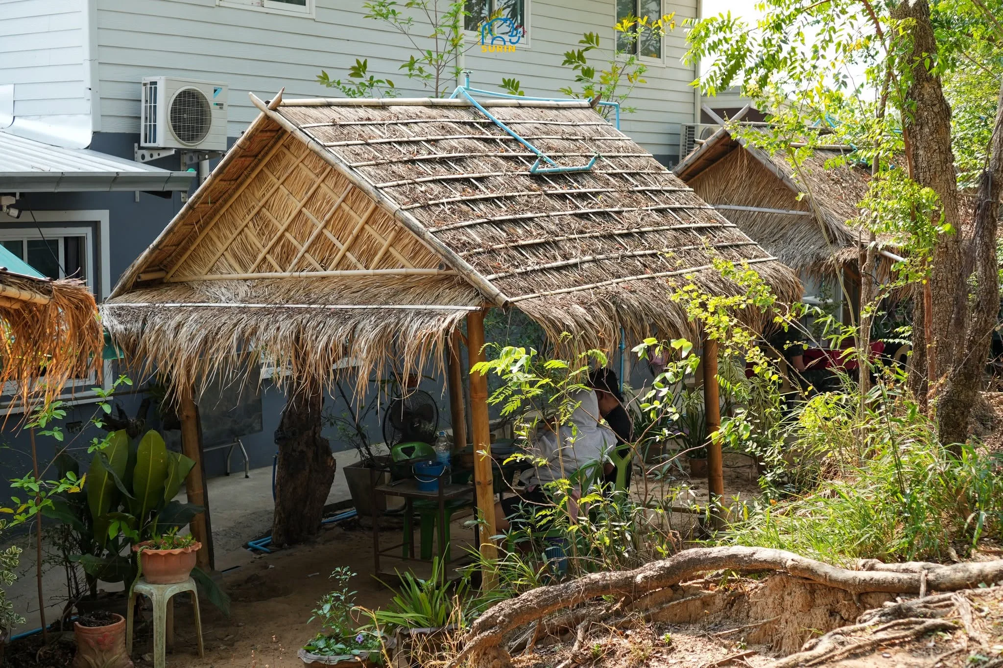 ร้านลาบลุงสิต-12