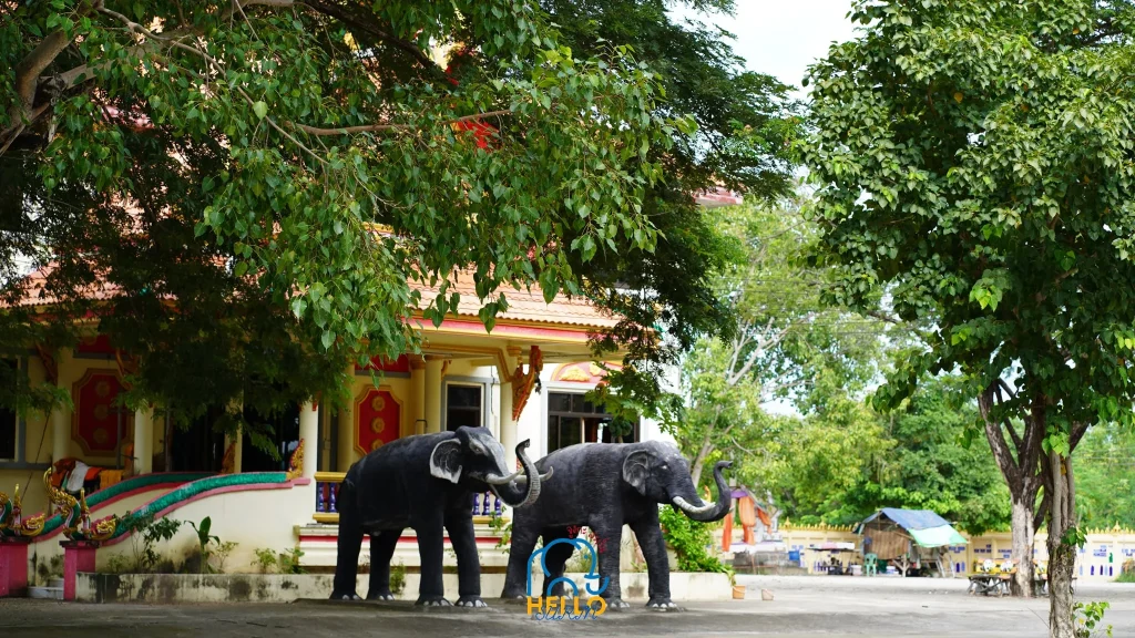 วังเต่าโบราณ-16