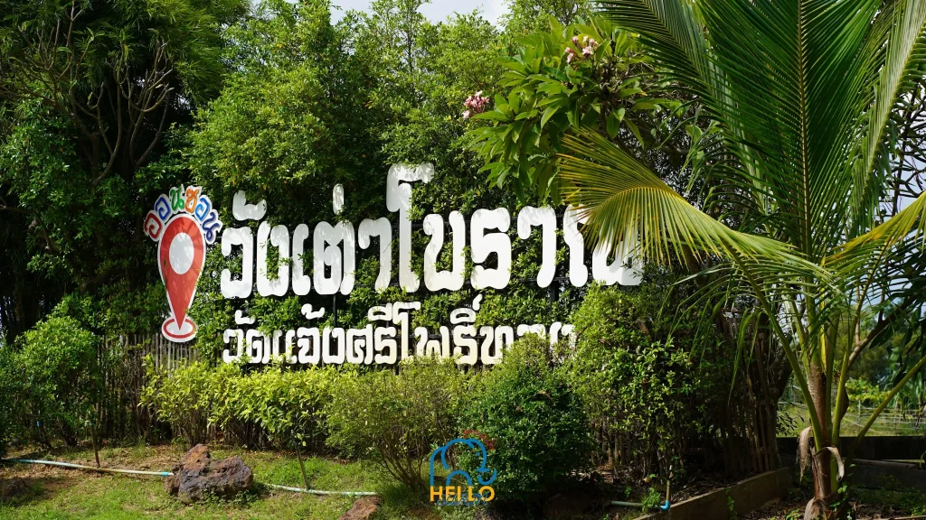 วังเต่าโบราณ-18