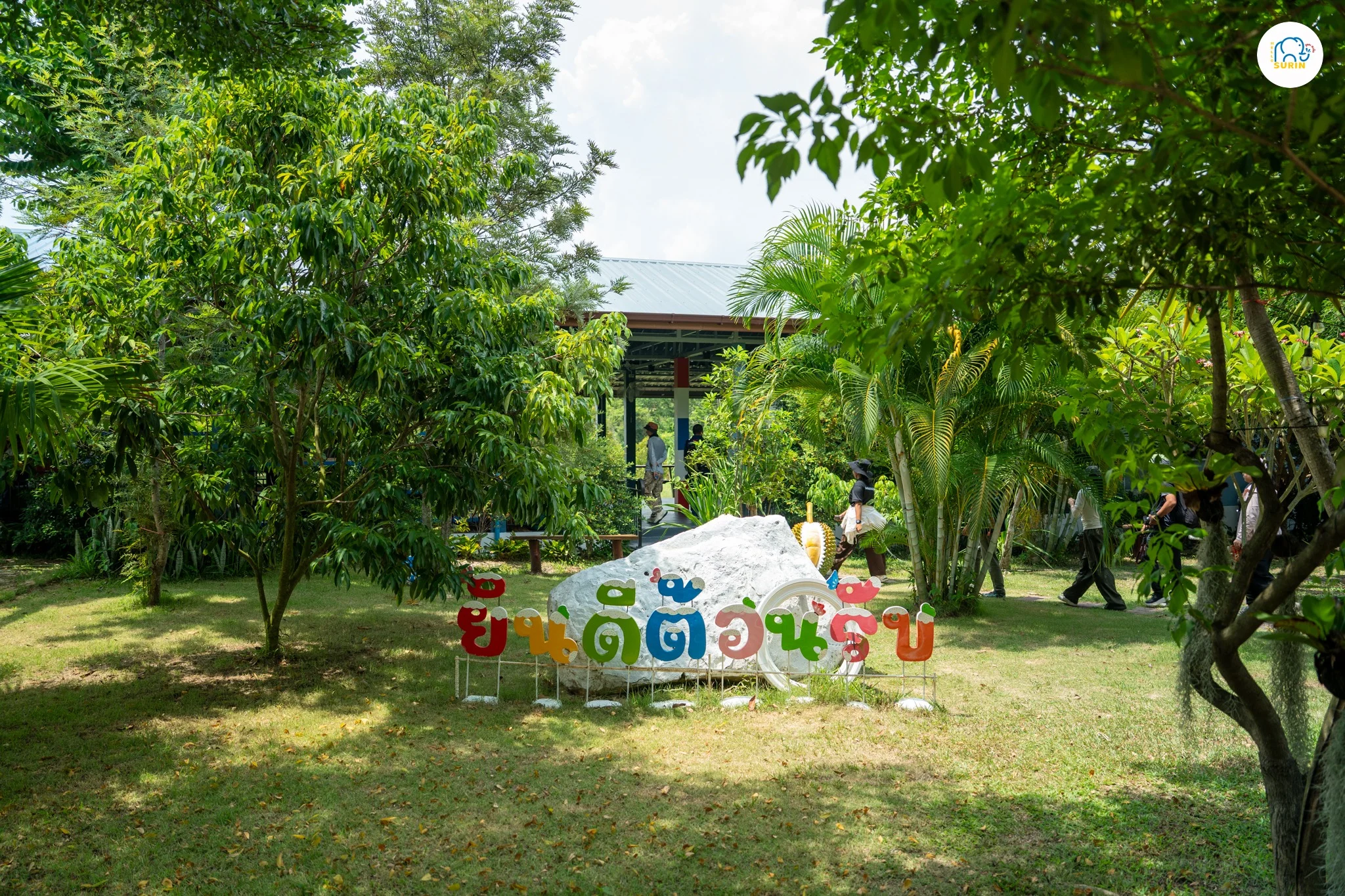 สวนทุเรียน 190 คาเฟ่-12