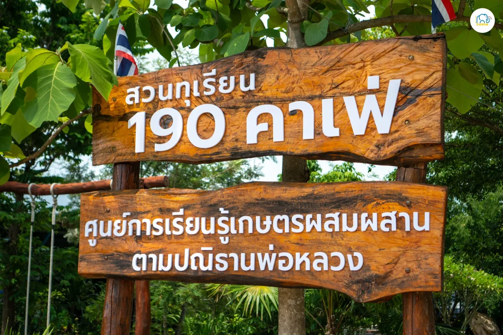 สวนทุเรียน 190 คาเฟ่-13 สวนทุเรียน 190 คาเฟ่-13