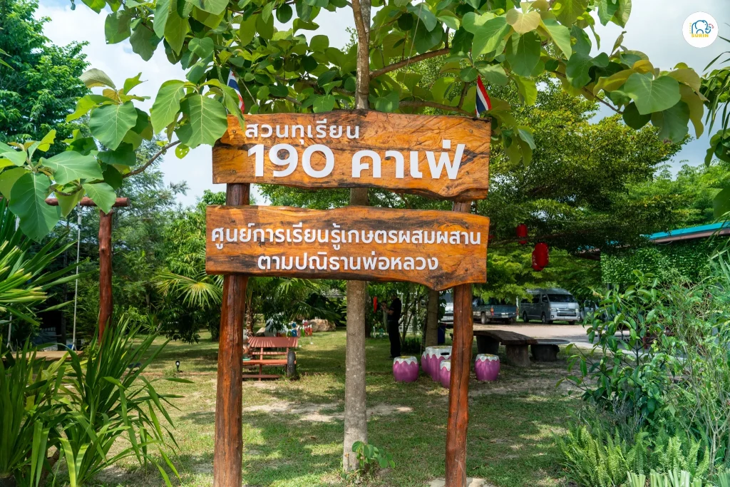 สวนทุเรียน 190 คาเฟ่-5