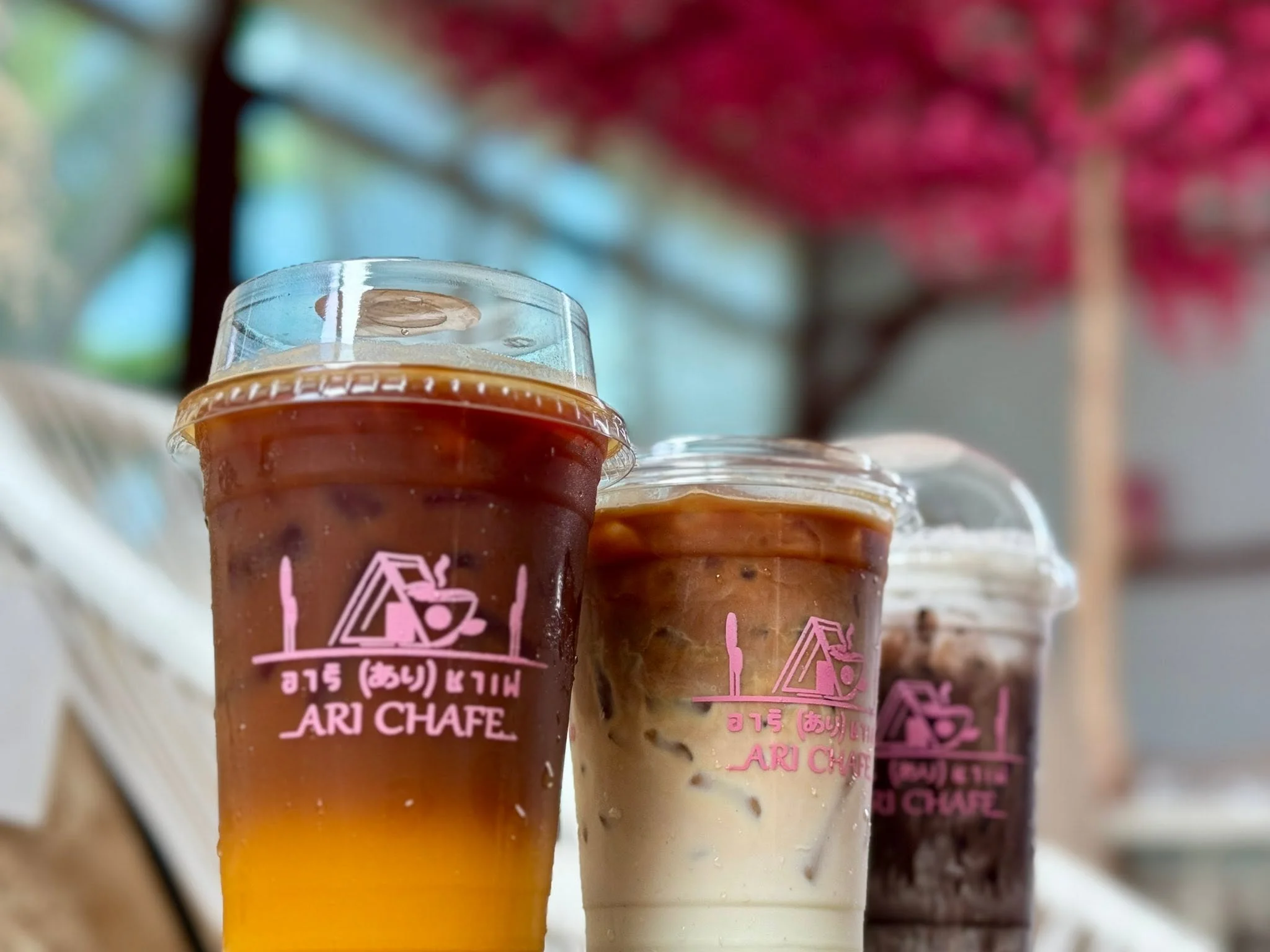 อาริありชาเฟ่ คาเฟ่ญี่ปุ่น-6