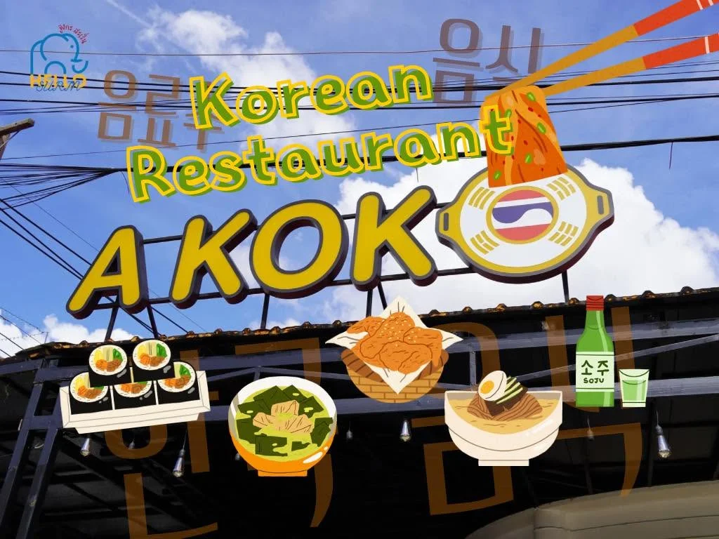 A KOKO-13