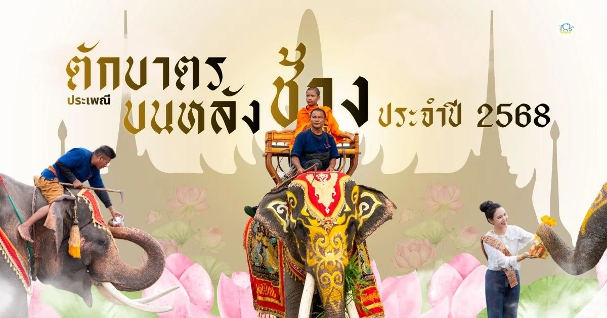 banner ตักบาตรบนหลังช้าง2568