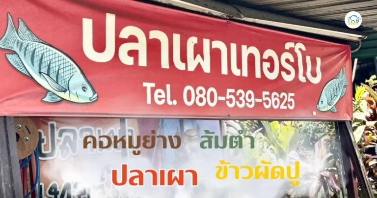 banner ปลาเผาเทอร์โบ