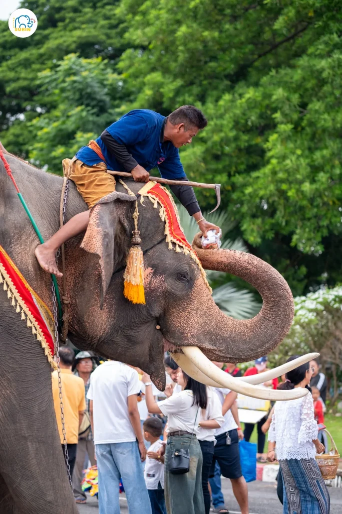 ตักบาตรบนหลังช้าง2568-14
