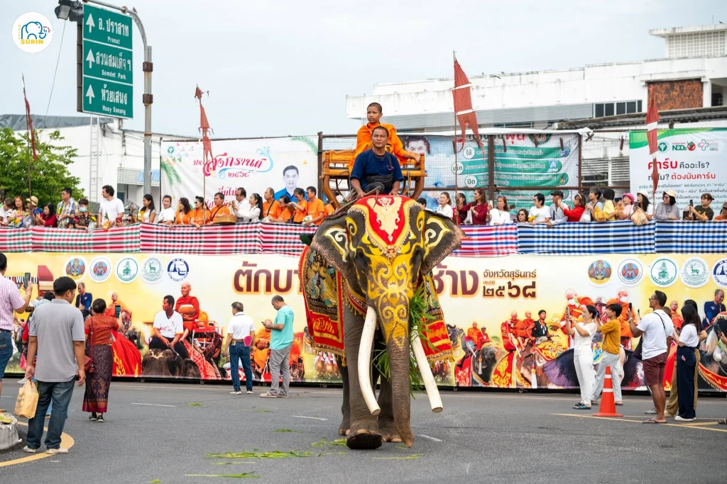 ตักบาตรบนหลังช้าง2568-25