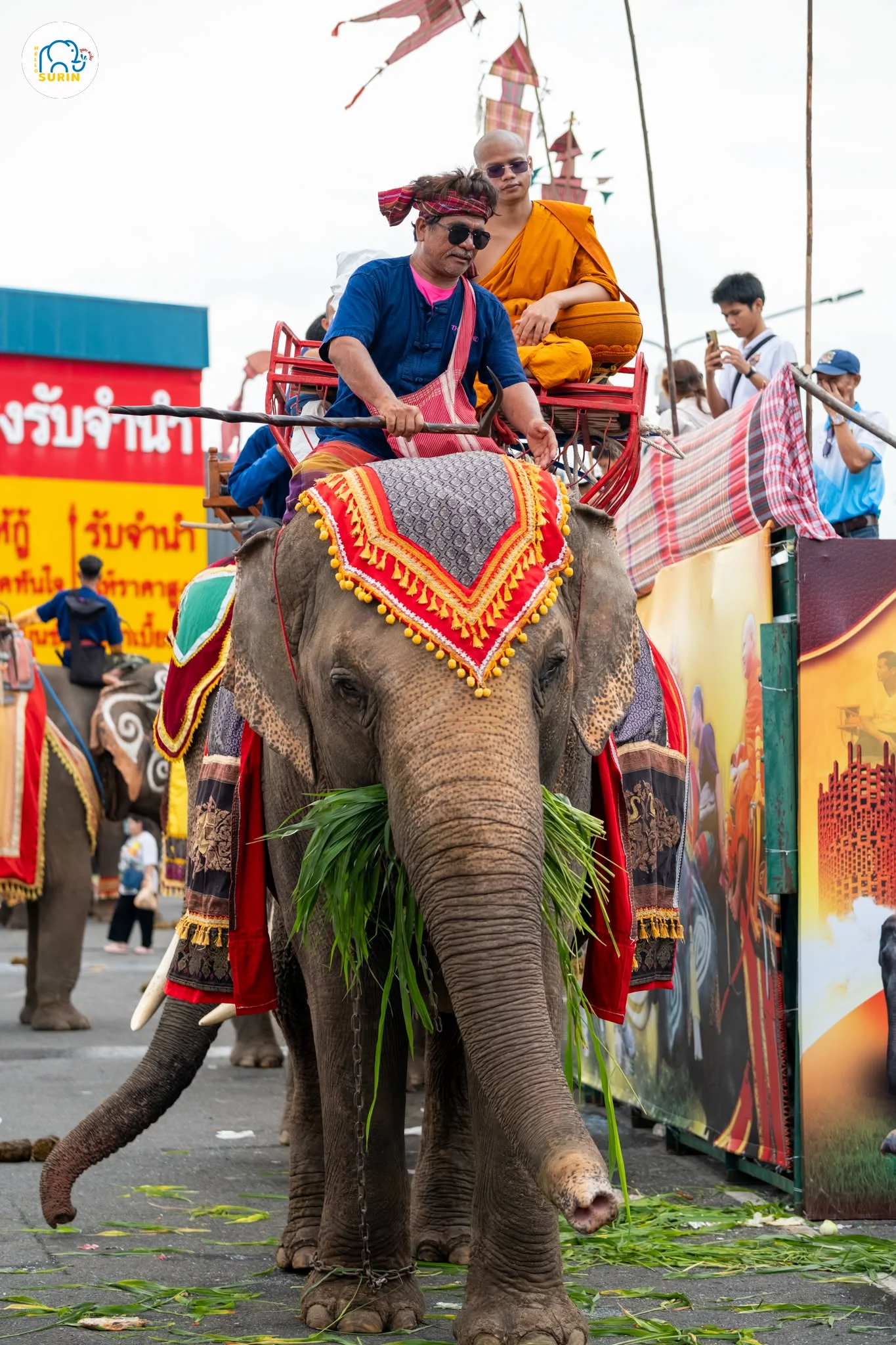 ตักบาตรบนหลังช้าง2568-46