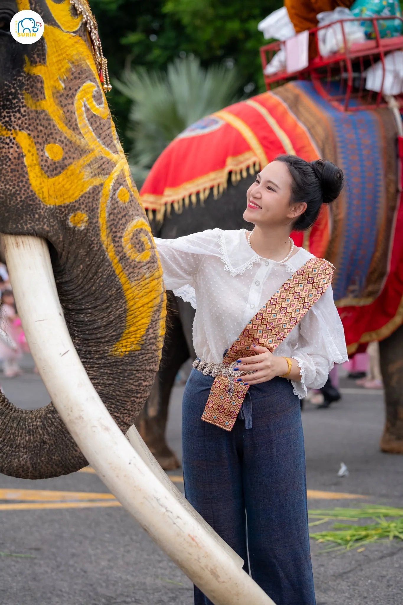 ตักบาตรบนหลังช้าง2568-5