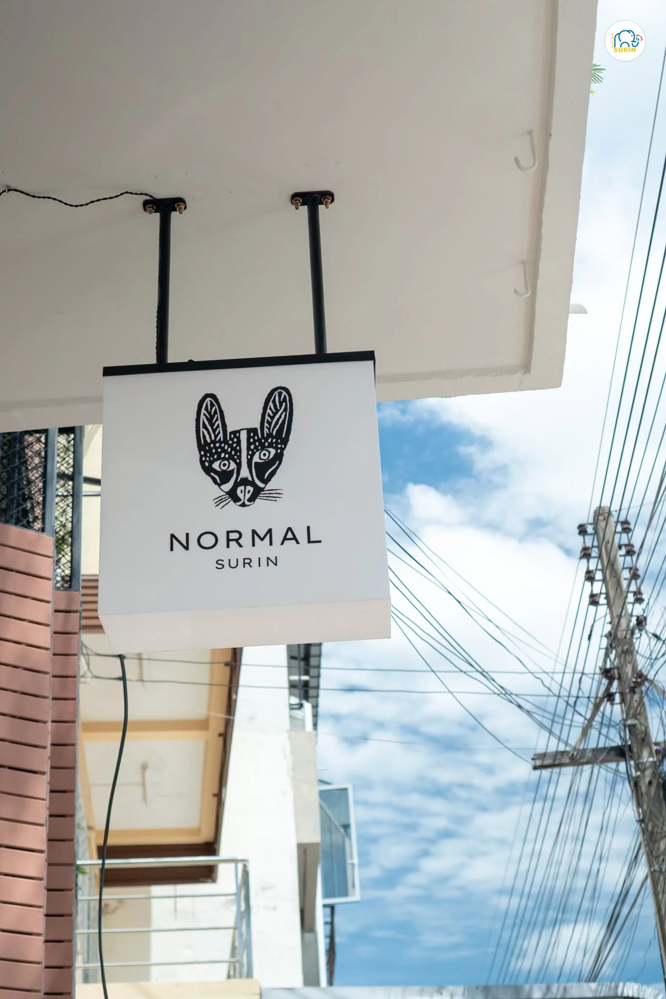 Normal Surin-16