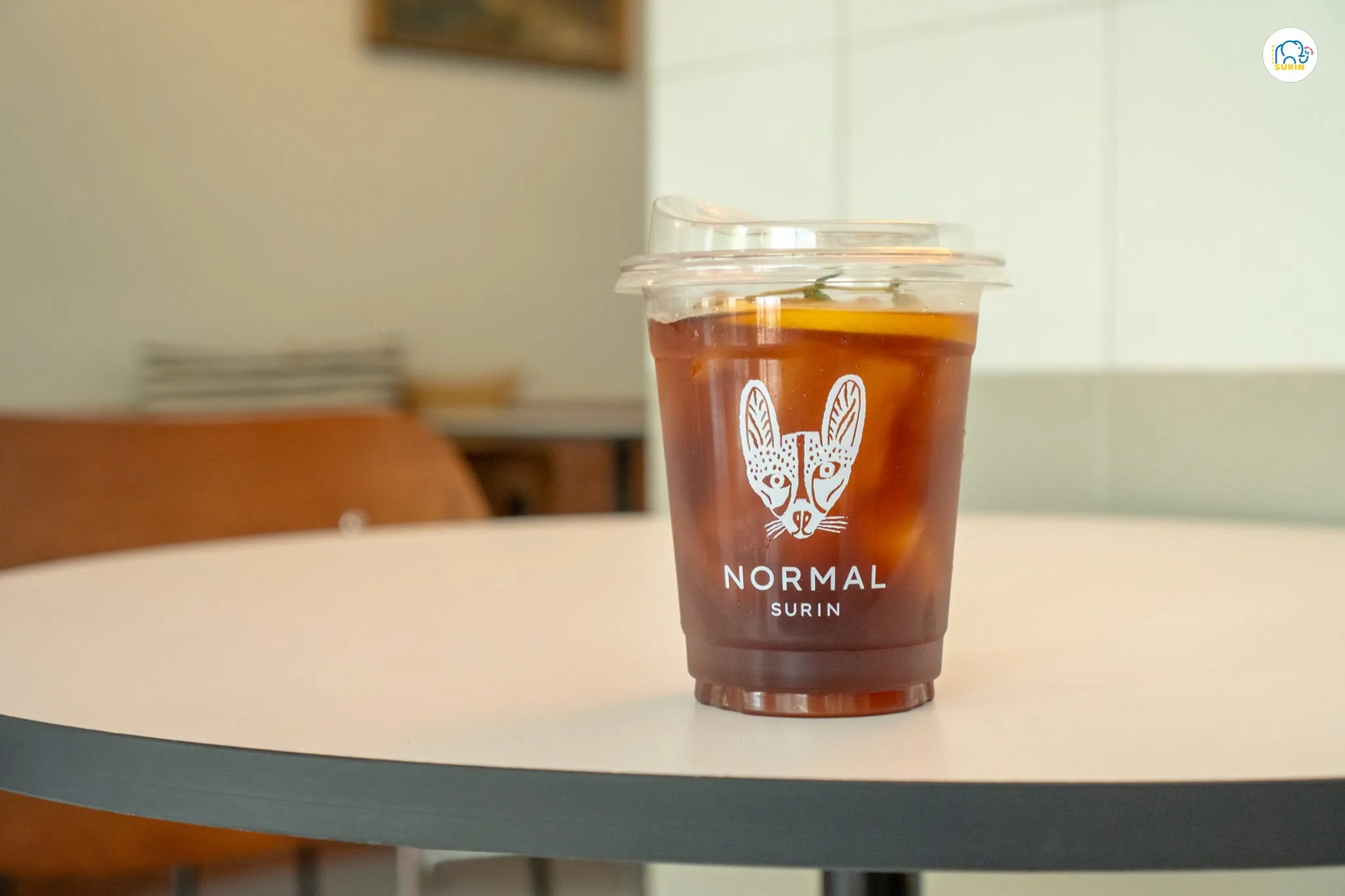 Normal Surin-20