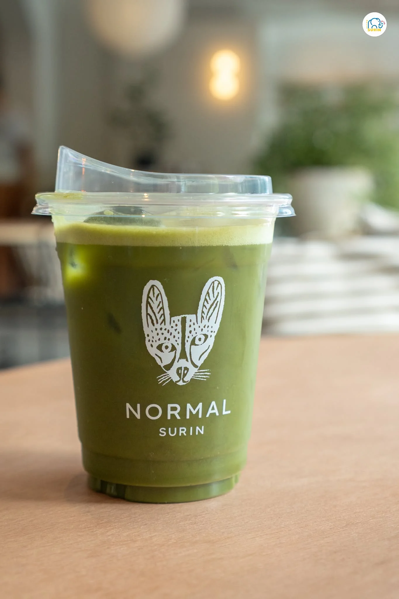 Normal Surin-25