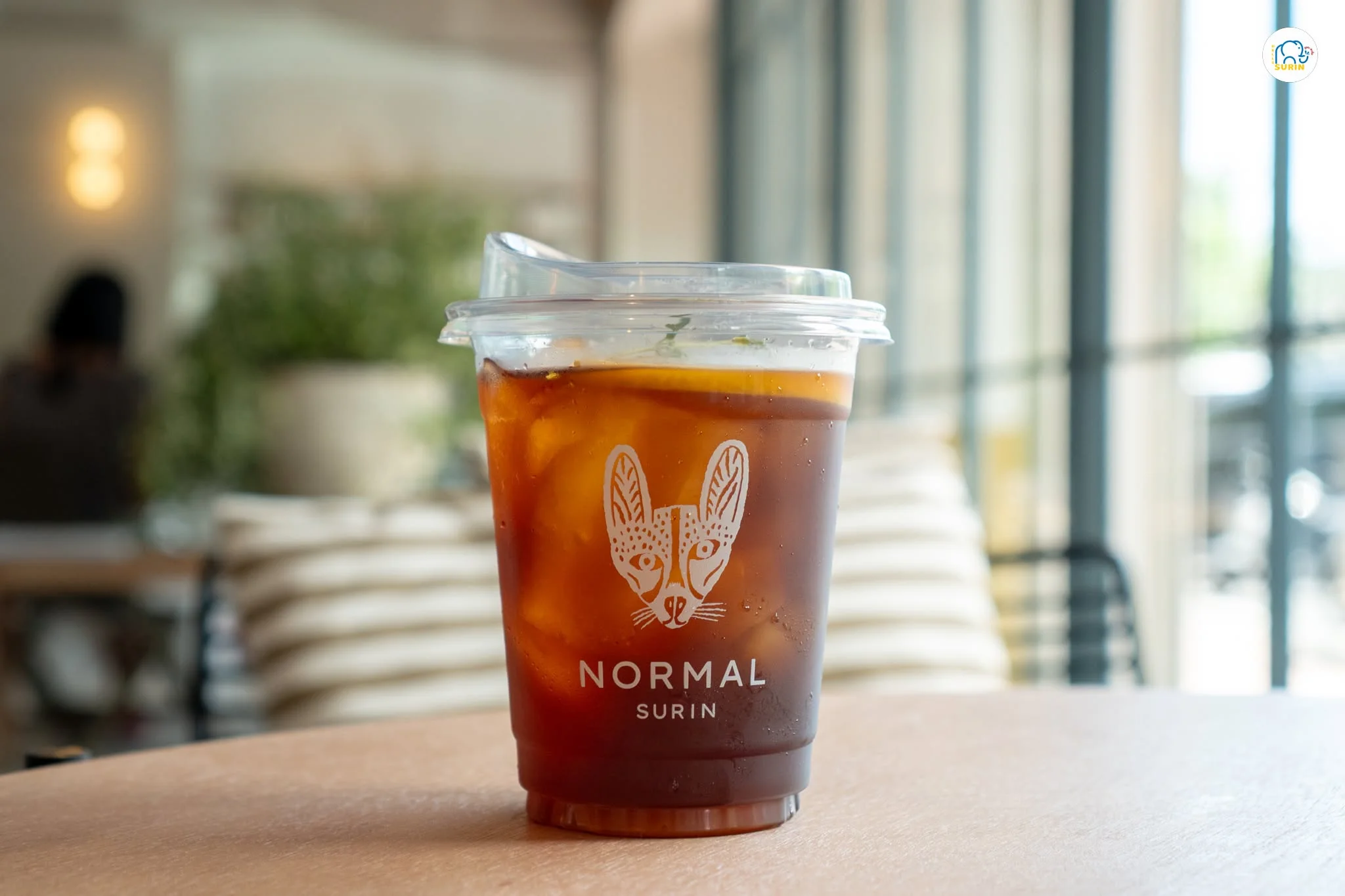 Normal Surin-26