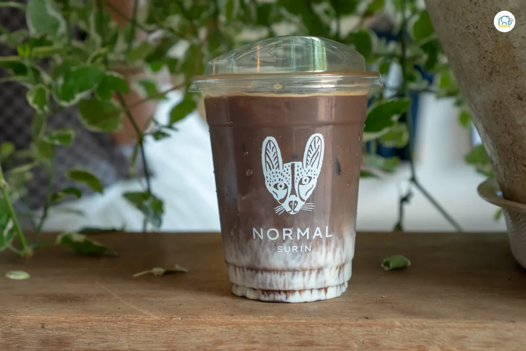 Normal Surin-27