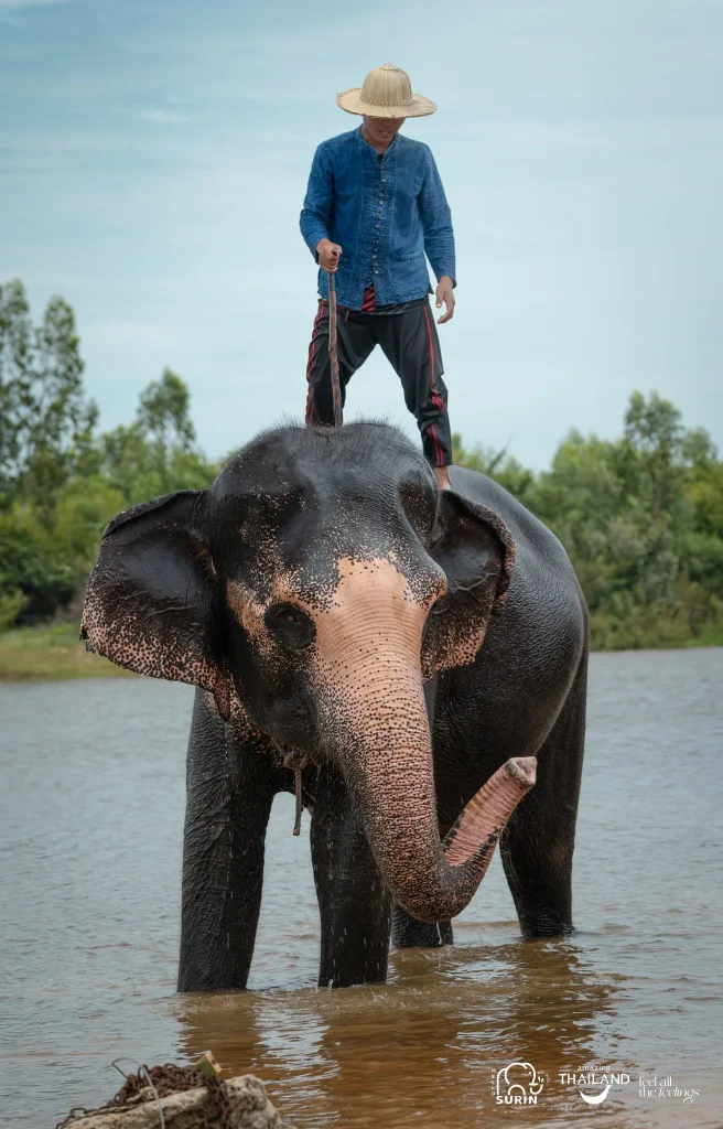 ชุมชนเลี้ยงช้าง บ้านศาลา-2