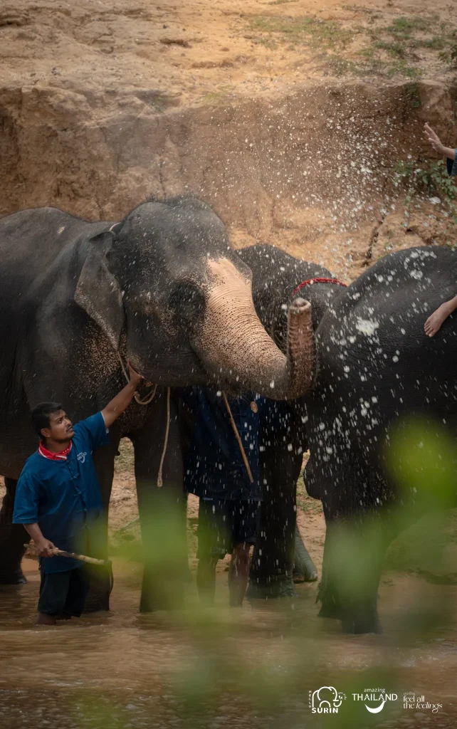 ชุมชนเลี้ยงช้าง บ้านศาลา-5