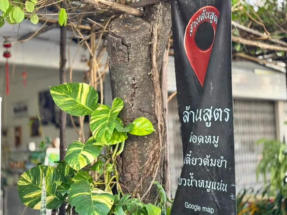 ล้านต้นสูตร-13