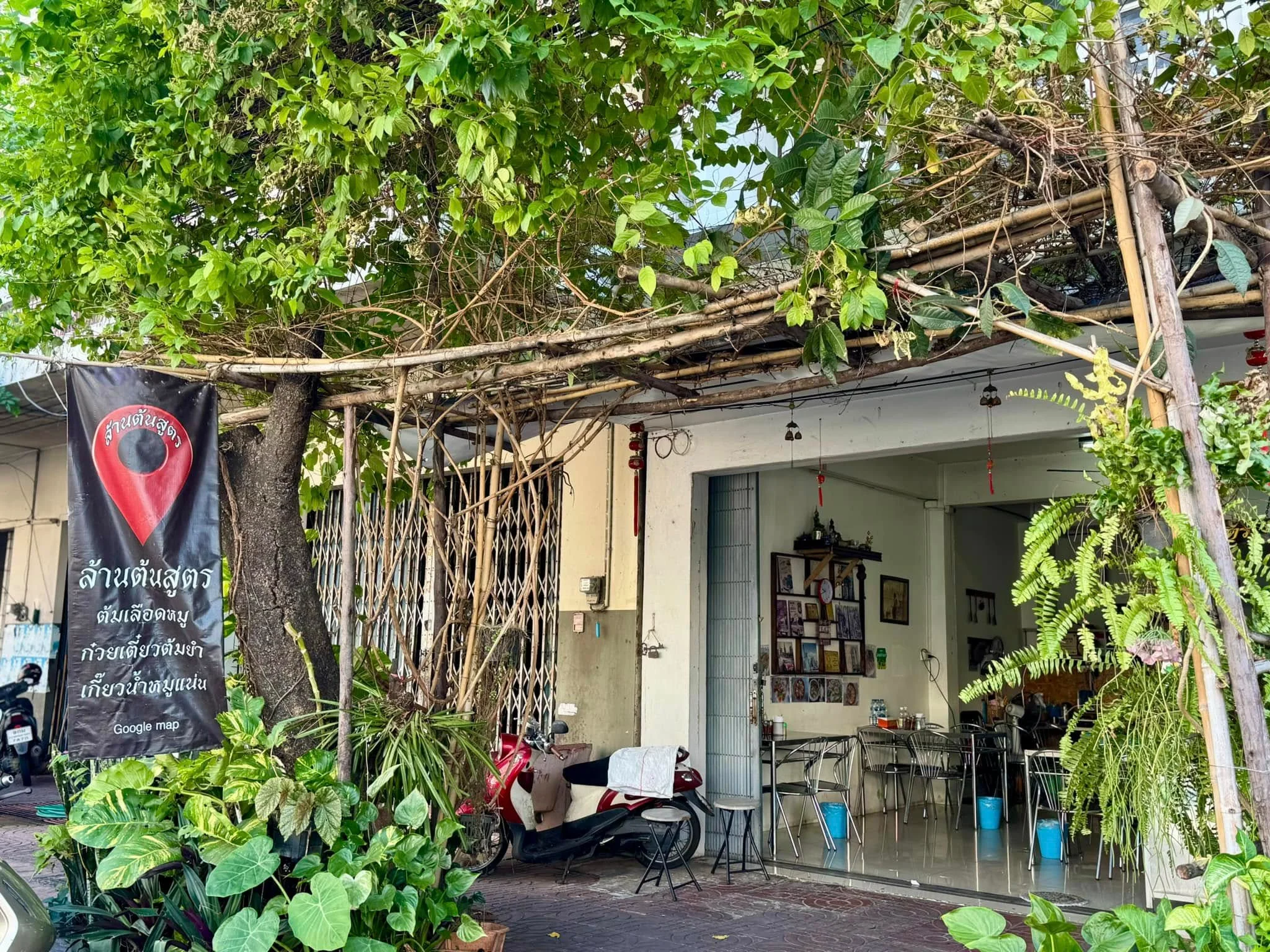 ล้านต้นสูตร-15